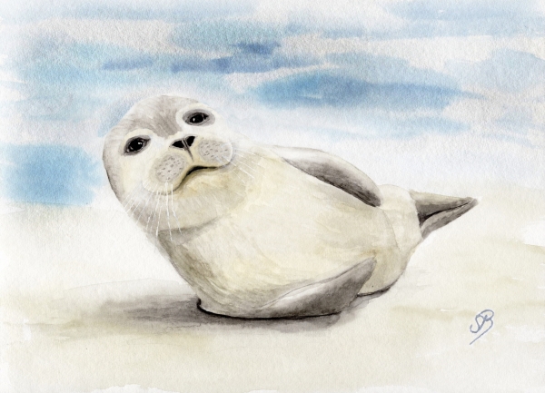 Postcard DIN-A6 white seal on the beach - DK56